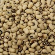 Fasola Black-Eye- biała z czarnymi oczami, suszona, 500 g