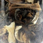 Mieszanka grzybów, Mélange Forestier, Plantin, 50g