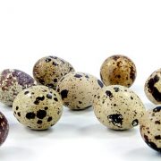 Jajka przepiórcze świeże z hodowli na wolnym wybiegu, 12 sztuk